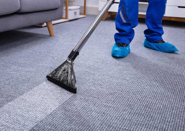 Carpet Cleaning